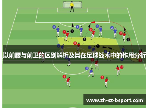 以前腰与前卫的区别解析及其在足球战术中的作用分析