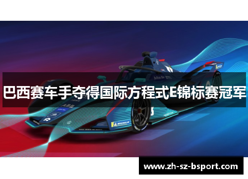 巴西赛车手夺得国际方程式E锦标赛冠军