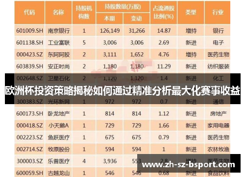 欧洲杯投资策略揭秘如何通过精准分析最大化赛事收益