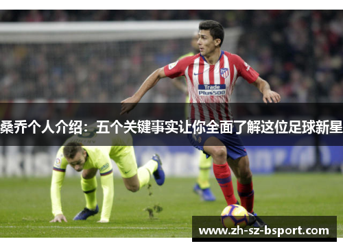 桑乔个人介绍:五个关键事实让你全面了解这位足球新星 桑乔个人介绍:五个关键事实让你全面了解这位足球新星