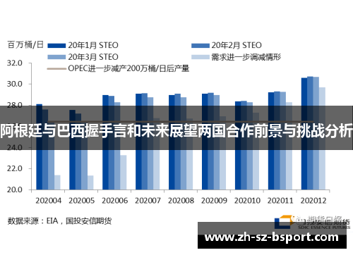 阿根廷与巴西握手言和未来展望两国合作前景与挑战分析