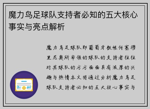 魔力鸟足球队支持者必知的五大核心事实与亮点解析