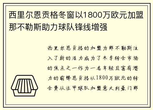 西里尔恩贡格冬窗以1800万欧元加盟那不勒斯助力球队锋线增强